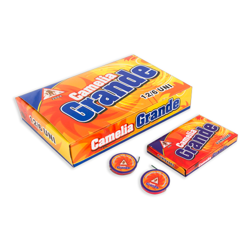 Camelias 6 Uds